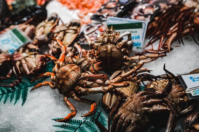 海鮮食材高清圖片