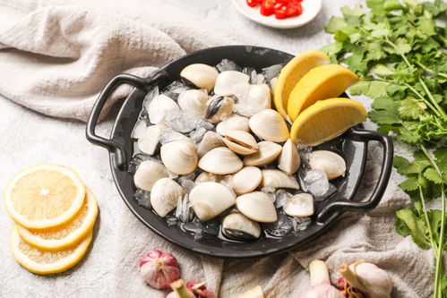 水產腌生鮮白貝海鮮美食攝影圖 st攝影